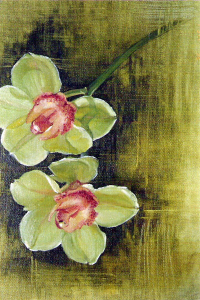Orchids illustration art